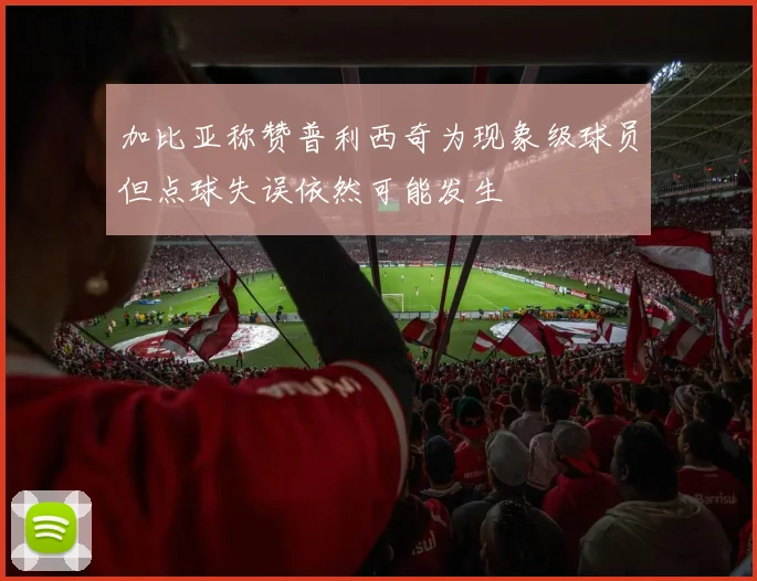 加比亚称赞普利西奇为现象级球员但点球失误依然可能发生