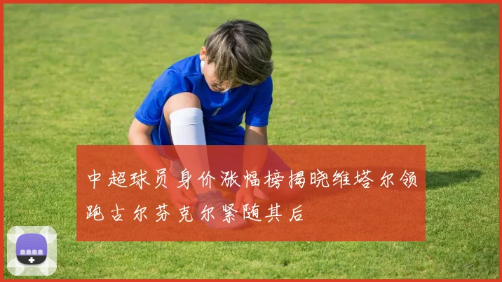 中超球员身价涨幅榜揭晓维塔尔领跑古尔芬克尔紧随其后